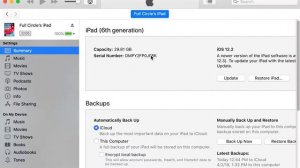 How to Locate and Copy the UDID of an iPad using iTunes