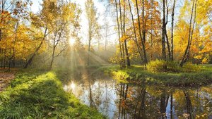 "Осень" , песня Алексея Смелина на мои стихи