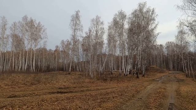 Дорога в Абзаково смотреть онлайн