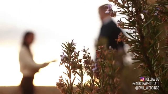 Montaluce Winery // Anna + Evan // Save the Date смотреть онлайн