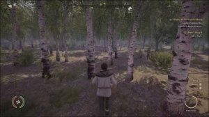 Medieval Dynasty: Part 11