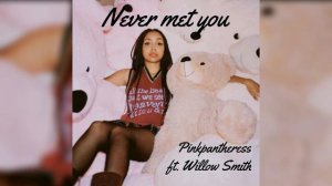 Never Met You || pinkpantheress ft. Willow Smith