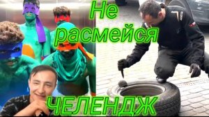 Попробуй, не расмеяться челендж \Юмор\Животные\Смешные моменты.