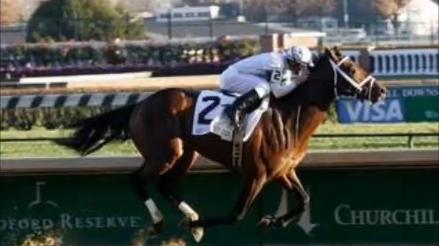 Super Saver Tribute смотреть онлайн