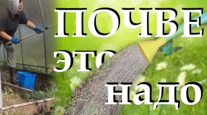 Как я оздоравливаю почву осенью, делю её плодородной и чем обрабатываю теплицу  от болезней