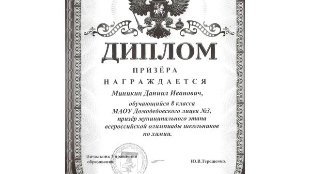 Домодедовский лицей №3 учитель химии Разинькова Н.М.
