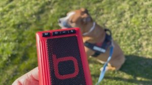 Review Bumpbox retro pager Bluetooth speaker