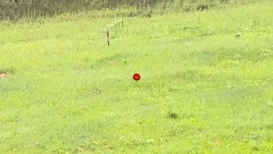 Учу стрелять налётные мишени ниже пояса