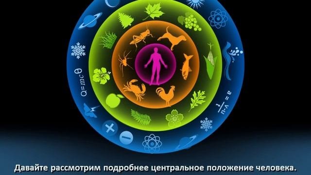 Божественный Принцип - 13. Цикл сердца