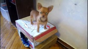 Ракета из картонной коробки. Rocket from a cardboard box