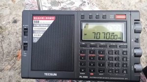 Tecsun PL-990 SSB 40 m