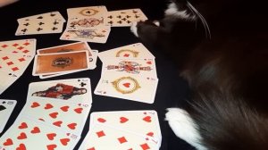 Крестовый Король♣️!!! Что сегодня происходит в его жизни??♠️♥️♦️