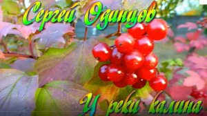 Душевная песня - У реки калина