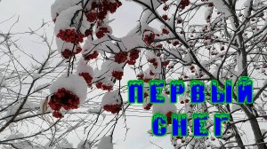 Первый снег