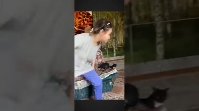 Бытовуха паши