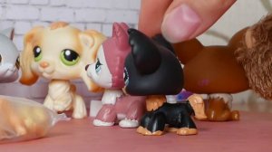 LPS ЖИЗНЕННО (37) - УЗНАЙ СВОЁ БУДУЩЕЕ