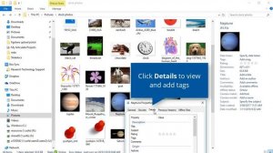 Tagging files in Windows Explorer