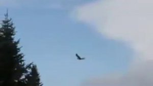 Место юности. Пуштулим, Алтайский край.