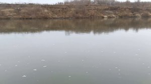 Щуки на спиннинг в октябре.