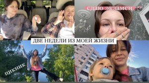 влог: пикник на заливе/сдала категорию А