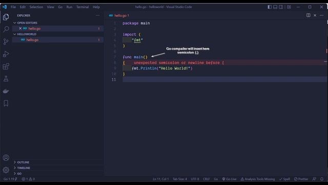Basic Structure of Go program Explained (Golang) #go #golang