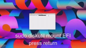 Remove OpenCore EFI BootLoader After Reinstall Of macOS