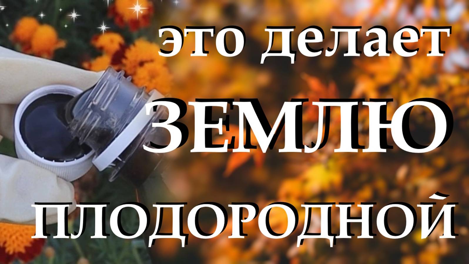 Добавляю  один колпачок этого удобрения и делаю землю плодородной. Осенние работы в огороде