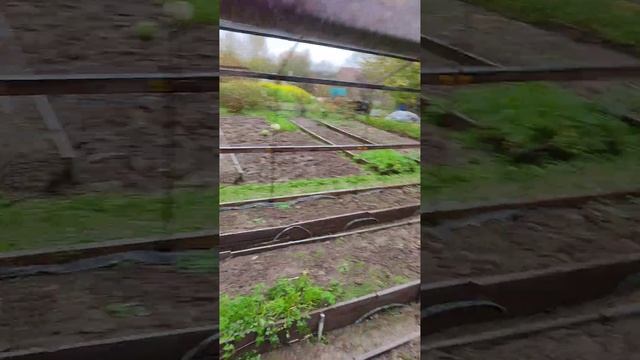 Прекрасная осень 2024