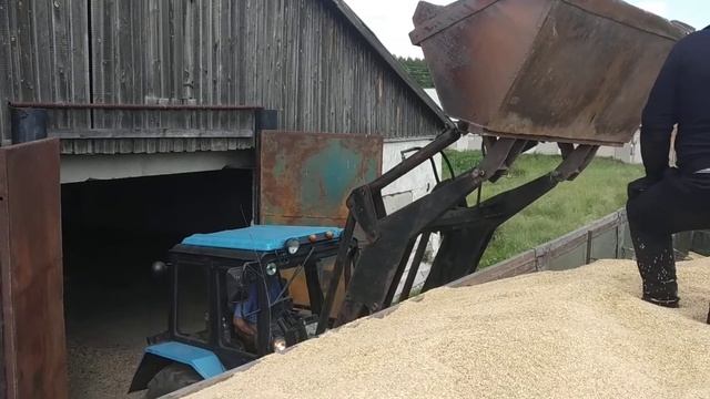 Погрузка зерна смотреть онлайн