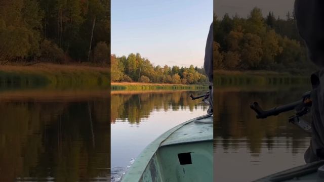 Лесная баня у Иваныча на заимке #баня #тайга #жизньвтайге #изба #отшельник #охотник #рыбак