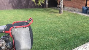 Как быстро убирать листья!