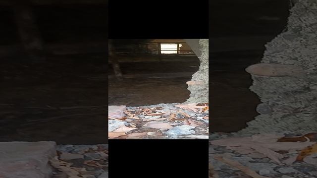 нашли новую заброшку