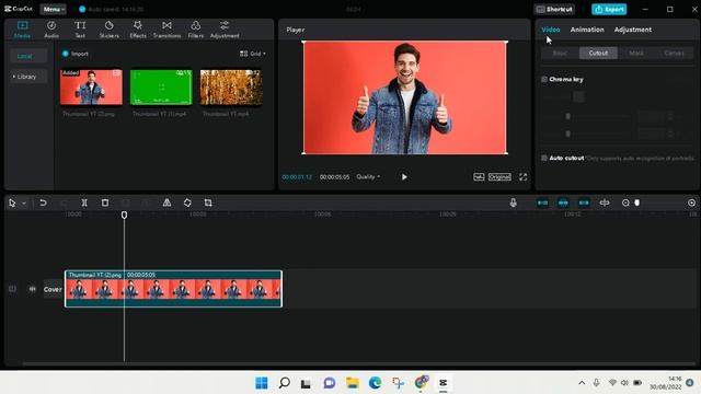How To Use The Auto Cutout Feature In CapCut PC
