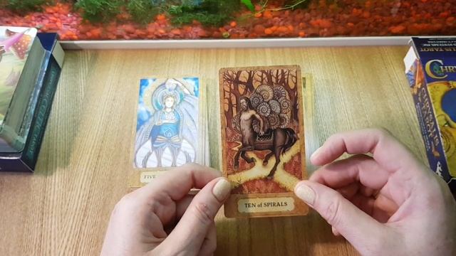 Универсальное Кельтское Таро и Таро Хризалида (из куколки в бабочку) с сайта AliExpress. Обзор коло