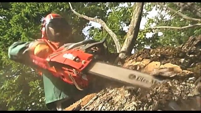 Presentazione Oleomac смотреть онлайн