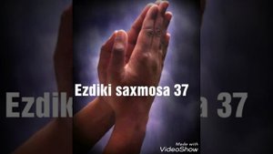 Ezderen saxmos 37