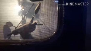 Жилой модуль в прицеп своими руками. Финал