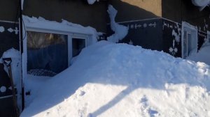 Гальбштадт, Январь 2020 г