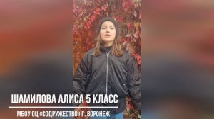 "Листопад". Шамилова Алиса 5 кл. МБОУ ОЦ « Содружество» г.Воронеж