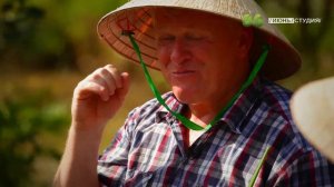 ЯЗЬ ПРОТИВ ЕДЫ Вьетнам