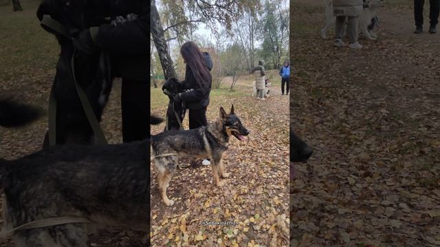 Гулять,обниматься и быть вместе