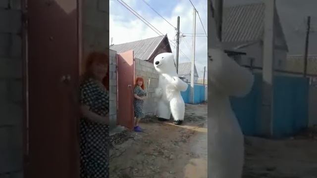 #волгоград #поздравление #деньрождения . смотреть онлайн