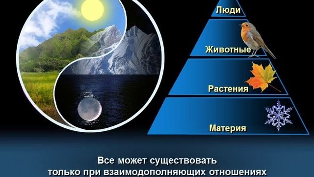 Божественный Принцип - 02. Инь и Янь