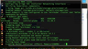 Kubernetes Tutorial | Install minikube & kubectl on MacOS | K8s Cluster