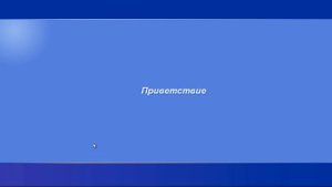 Забиваем Windows XP вирусами