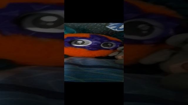 друг