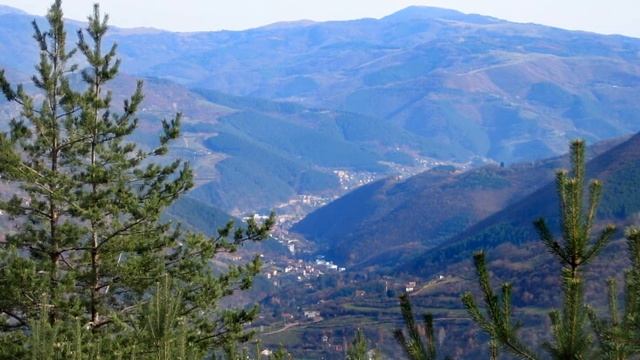 ЙОРДАН ЙОРДАНОВ СИТНО СВОГЕНСКО ХОРО смотреть онлайн