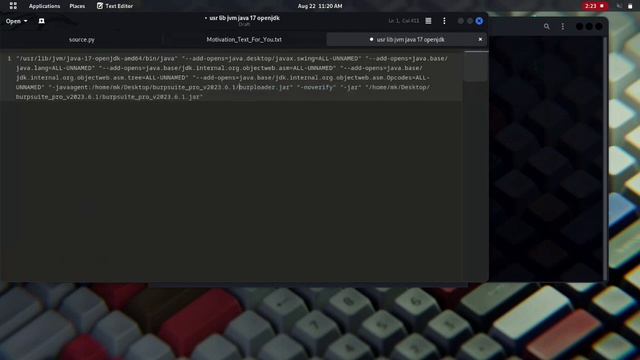 How to install and setup Burpsuite pro for free.💯 смотреть онлайн