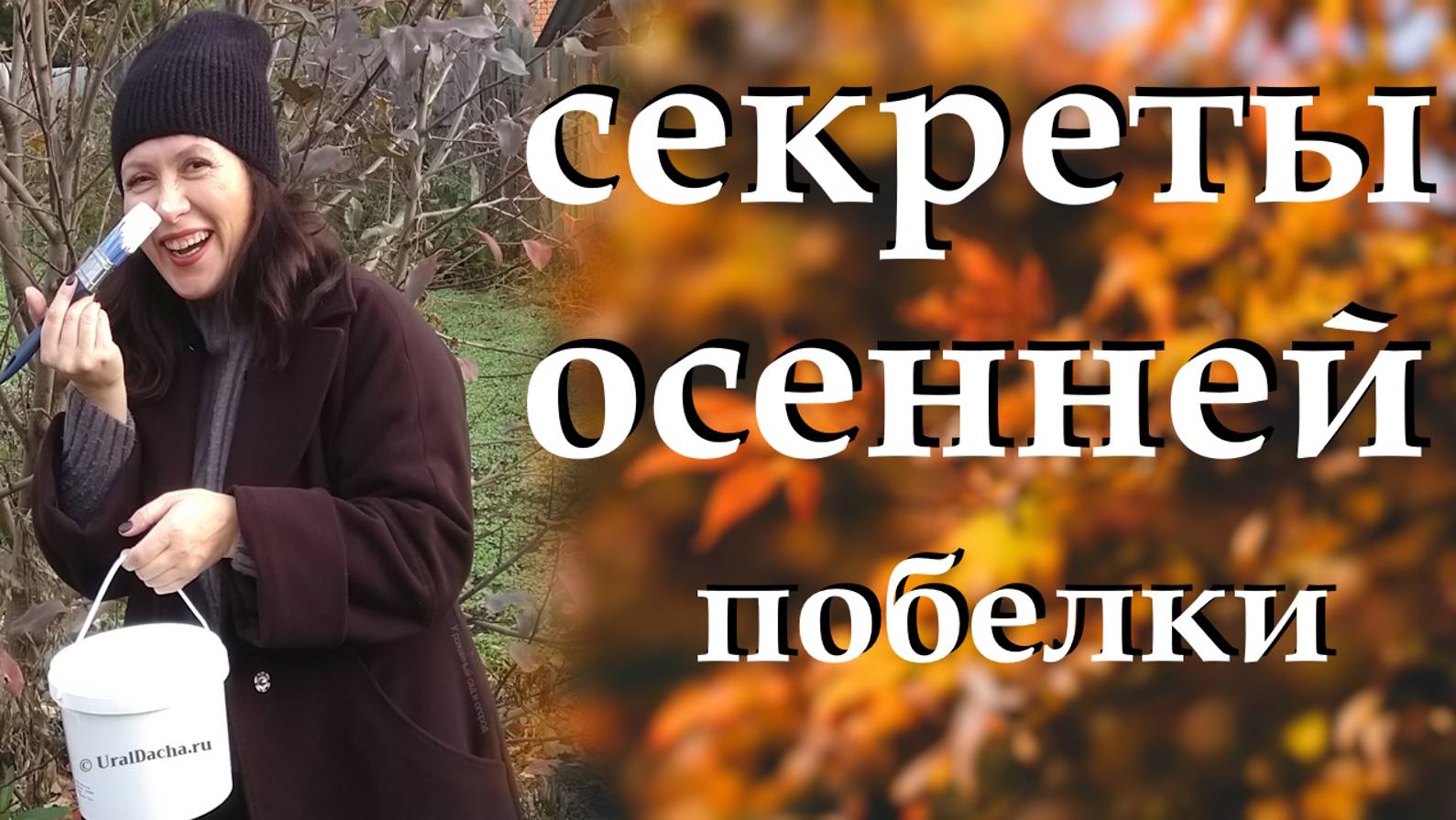 Узнаем, почему осенью белить деревья правильно. Осенние работы в саду