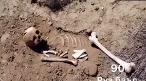 Хожи Мирзо баъдаз мурдан